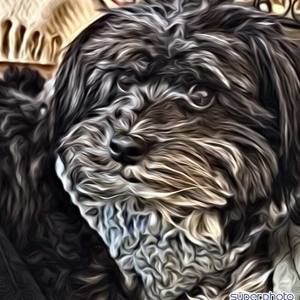 Meet your Posher, Lydia